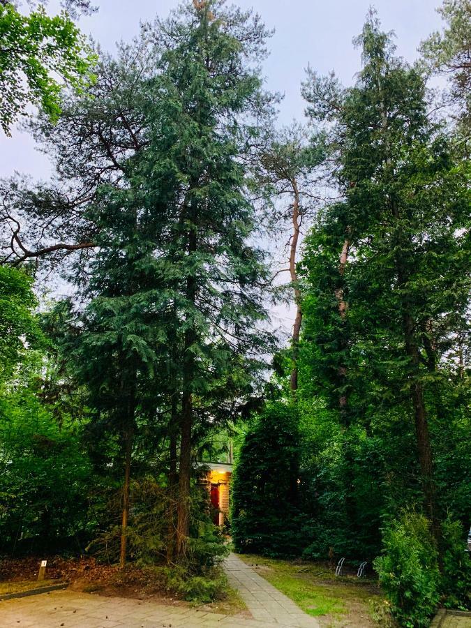 Zonnebos, Private Garden, Fresh Air, Relax! Villa Otterlo Luaran gambar